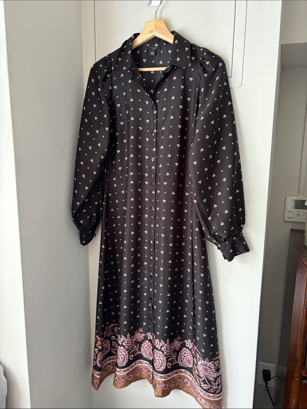 Ann Taylor Button-Down Dress with Paisley